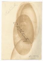 Reverse of portrait of Dr Charles Herbert Clatworthy [ jpg ]