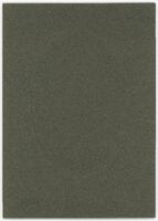 Reverse of portrait of Dr Francis Clarke Thompson [ jpg ]