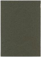 Reverse of portrait of Dr Thomas James Frizell [ jpg ]