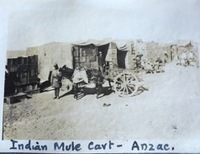Photo of Anzac Indian Mule Cart [ jpg ]