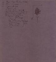 0002.jpg [ scanned_images/FISHER-WEBSTER_G D - FLEMING_W M/FLECHER_Hugo/FLECHER_Hugo 1/ jpg 1047712 ]