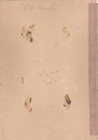 0002.jpg [ scanned_images/WAUGH_Keith Cameron 1/ jpg 463959 ]